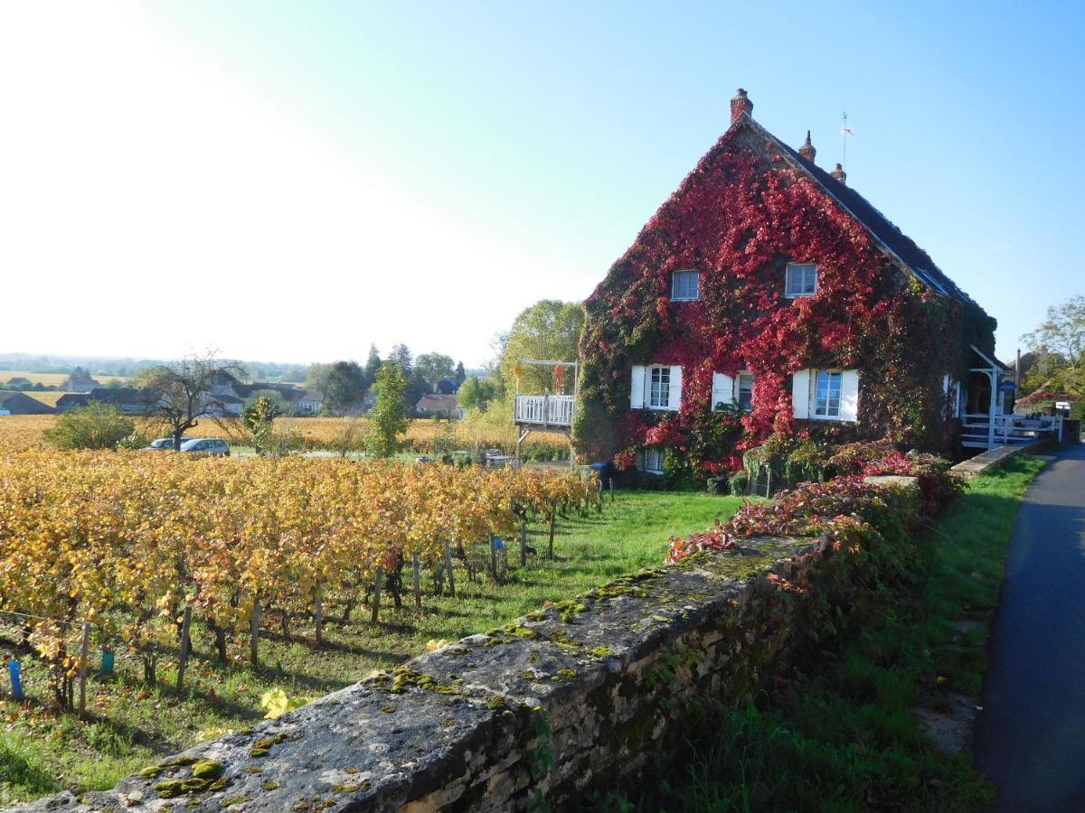 La Passerelle Des Corton B&B Aloxe-Corton Zewnętrze zdjęcie